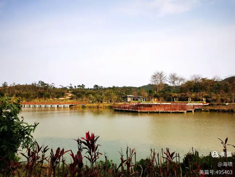 台山市金星湖湿地公园